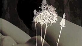 dark lantern entertainment presents steam age porn