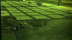 Tape Bondage Unless Youre From The Sixties And Delve That Earth Milf