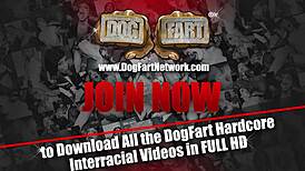 Cute housekeeper sucks big black cock at gloryhole