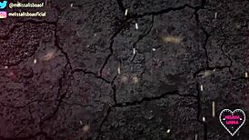 I left the door open, got on all fours, and he fucked my ass and pussy with his big cock