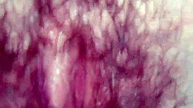 Talia gets her pussy sucked and fucked in pov