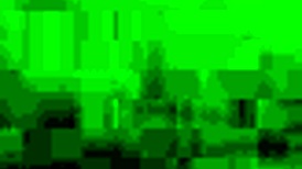 biggwest explores real pussy adventures