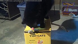 Hairy pussy gets funny attention!