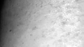 i watched this redhead milf get stretched by damian sanchez's bbc