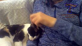 Hairy pussy gets funny attention!