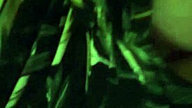 big tittie milf shows off her curves