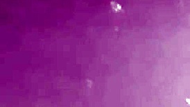 Strip Club Performance