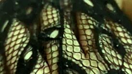 Asian solo fingering