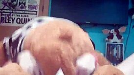 would you like to be my teddy bear