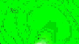 Quarantine Hiding Leaked Footage