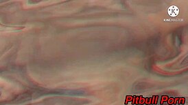 Chamei Galera Do Xvideos Para Suruba No Apartamento Com Inês Ventura, Samuka Ventura, Ksal Hot, Pitbull Porn