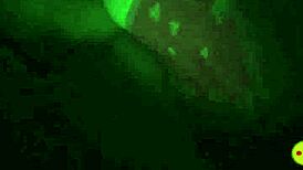 Real sex with my hot girlfriend on Periscope