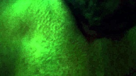 I get, hard Big pussy cumming after intense licking
