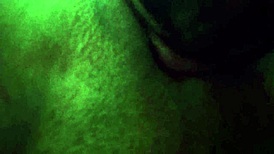 Ultra Close-Up of Latina's Big Pussy Lips Licked by Tongue in Accountant Adventures