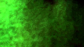 Ultra Close-Up of Latina's Big Pussy Lips Licked by Tongue in Accountant Adventures