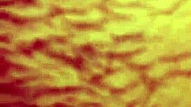 ड्रिपिंगलिप्स85 टॉय और लंड से डबल पेनेट्रेशन ट्राई करती है