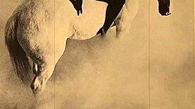 vintage taboo pussy bent over in retro style