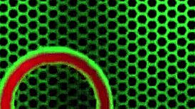 I, alex legend, drill penny pax's big pussy lips so hard, licking and cumming everywhere