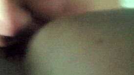 Bbw Transsexual Tastes Black Posterior