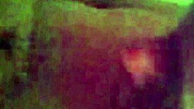 french european babe sucks pussy in pov