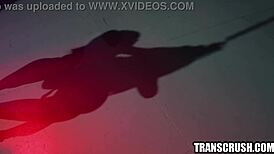 dominant shemale whips and fucks her female partner hard