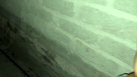 Cute latina prostitute gets doggystyle fucked in public after the party, so horny