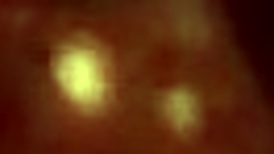 Linda, they cum in my mouth and on my tits because I'm a whore