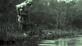 In the age of steam, I explore that hairy pussy with blowjob and vintage beaver.