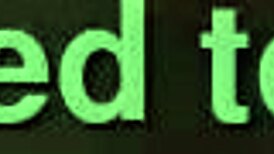 Watch these chubby slutty babies in action