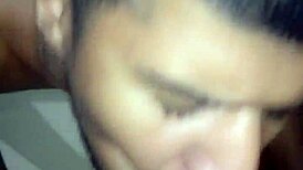 Intriguing gay sucking session