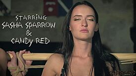 two slaves engage in a kinky sex game with bondage, spanking, and orgasm for their master