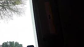 Getting a sloppy blowjob in the car from this ebony babe 😏