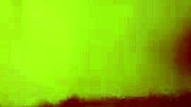 Me and Shelly intensely fucking in doggystyle, bent over with pussy exposed.