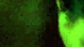 Homemade Latina Blowjob in Hotel Room