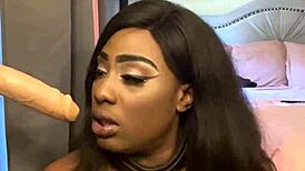 Lexo Butterfly Sucks That Cock Off The Wall!