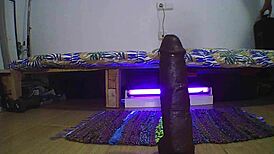 Amateur Trains Her Ass With Toys For Fitness