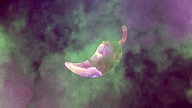 Latina Pornstar Young 18+ Gets Intense Fucking In Hotel