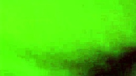 Intense Pussy Licking Session