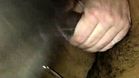 pov blowjob with white amateur