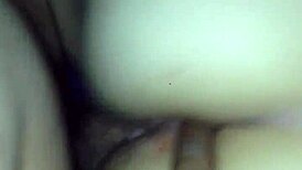 Fucking my wife in the ass