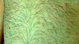 Preview of 4K Movie Bang Bang Bang with Agarabas and Olpr