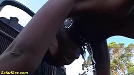 busty african fetish milf in outdoor public group first time