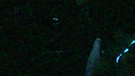 Scarlett Johnson Engages In Intense Blacklight Sex Fetish Scene