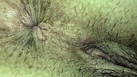 Stallion in a descriptive scene