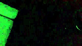 Big Booty Bitch Gets Fucked Doggystyle with Monster Cock and Facial Cumshot