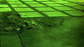 Female muscle domination first time