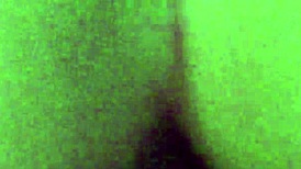 Amateur Blowjob And Anal Fucking Compilation!