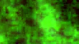 Amateur Blowjob And Anal Fucking Compilation!