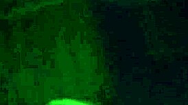 Blonde Mexican Girlfriend Fucks Better Than Husband in Bedroom