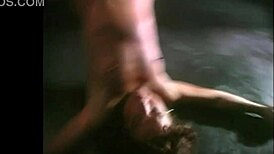 Perverse party turns into an emotional orgy with teen brunettes and amateurs